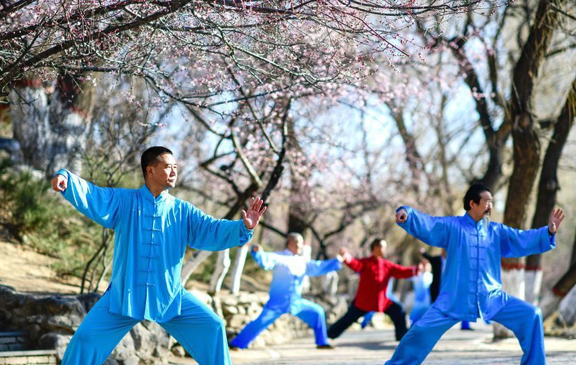 桃花樹(shù)下舞太極