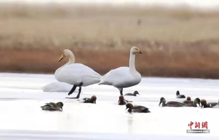 點(diǎn)擊進(jìn)入下一頁