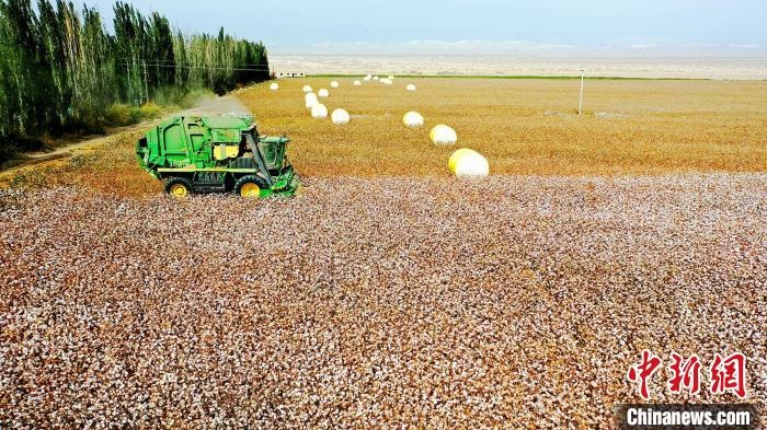 近年來(lái)，當(dāng)?shù)孛藁ǚN植戶的生產(chǎn)生活發(fā)生了翻天覆地的變化。　董霜 攝