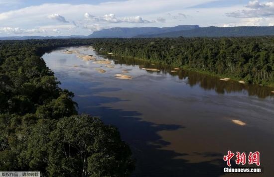 資料圖：亞馬孫雨林內(nèi)的河流。