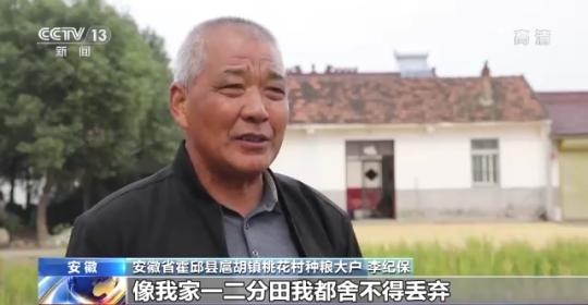 十八連豐！秋收近九成 我國糧食產(chǎn)能穩(wěn)步提升