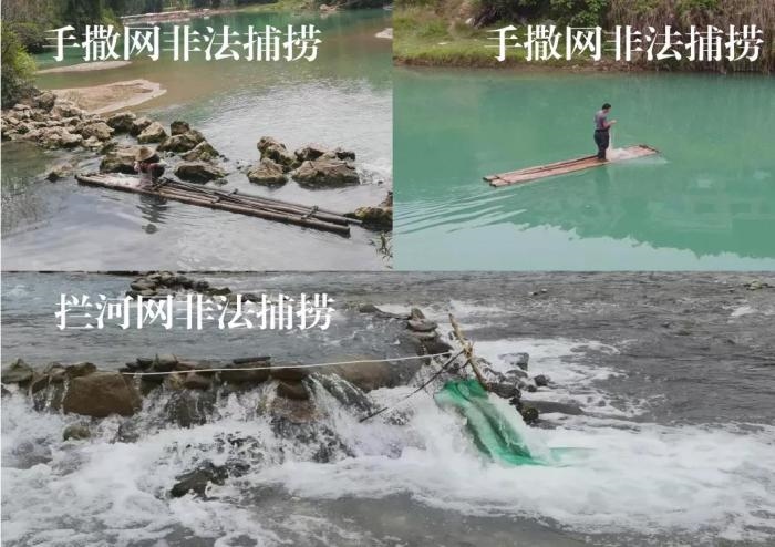 2021年9—10月，前期暗查發(fā)現(xiàn)，保護(hù)區(qū)核心區(qū)內(nèi)非法捕撈行為十分猖獗