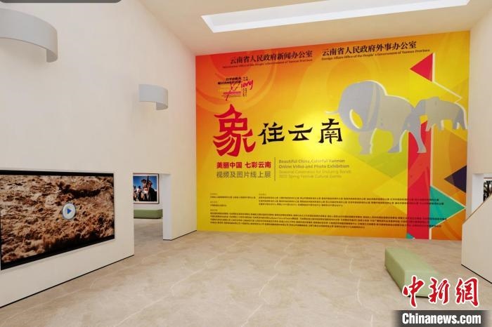 圖為“象”往云南——美麗中國(guó) 七彩云南視頻及圖片線上展截圖。　胡遠(yuǎn)航 攝