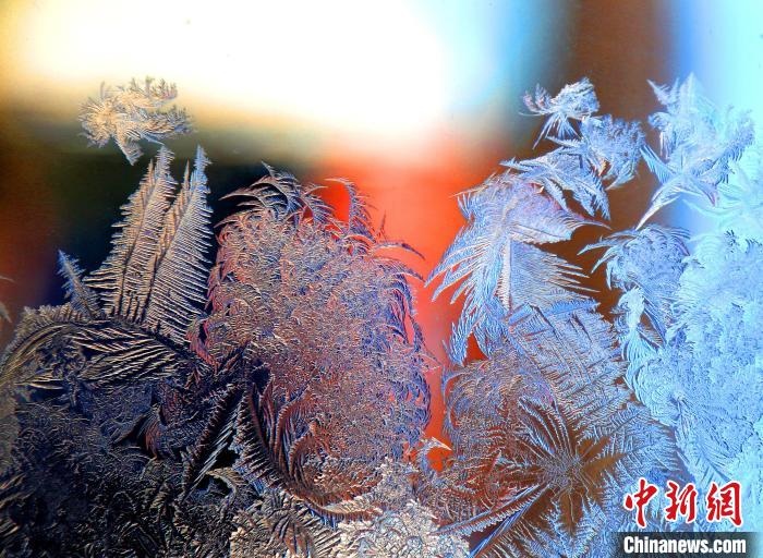 惟妙惟肖的冰窗花，似一幅風(fēng)景畫。　孫書程 攝