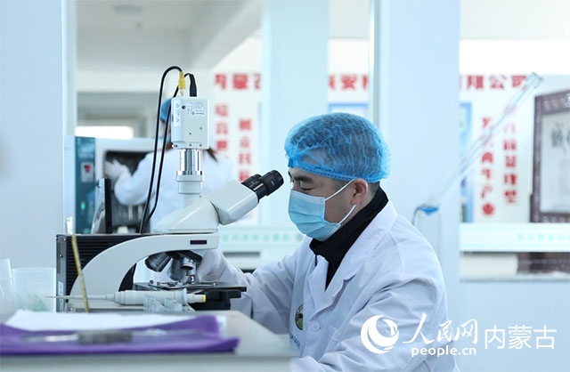 內(nèi)蒙古中農(nóng)興安種?？萍加邢薰韭鋺艨朴抑衅欤瑸槿馀．a(chǎn)業(yè)發(fā)展提供了優(yōu)質(zhì)的種源保障。白俊華攝