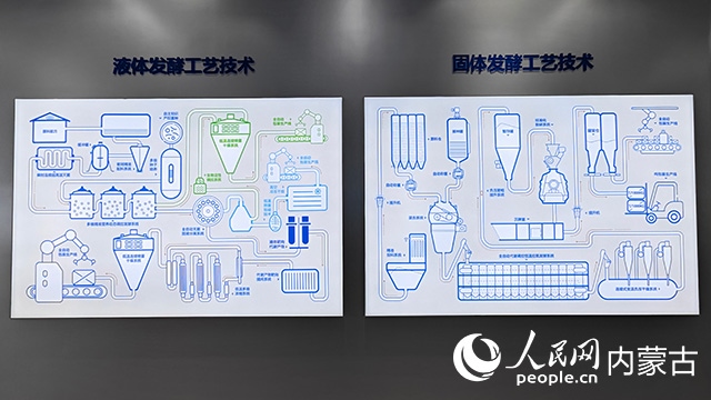 科拓生物工藝技術展示。人民網(wǎng)記者 張雪冬攝