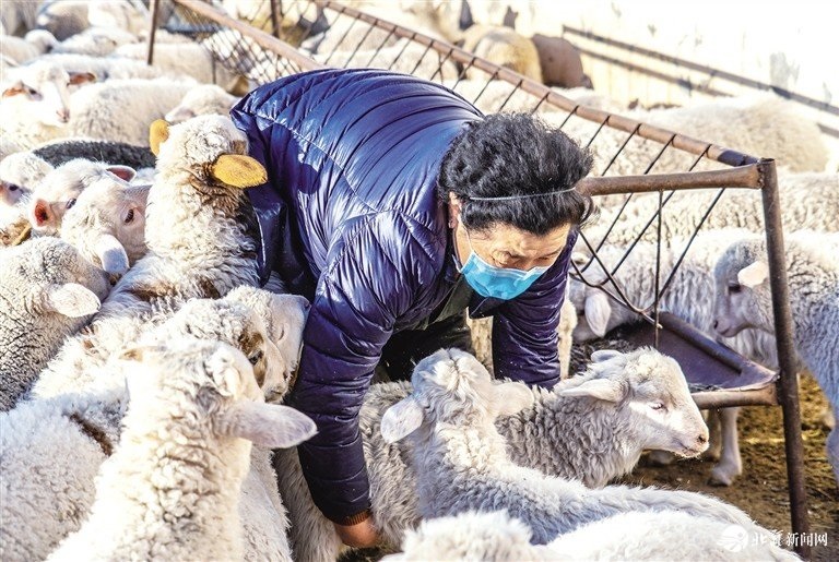 1582172068895230.jpg 6.jpg