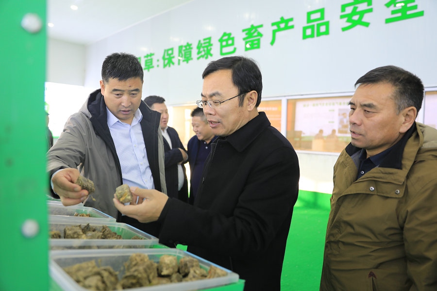 1609166164467204.jpg 7O5A2056.JPG