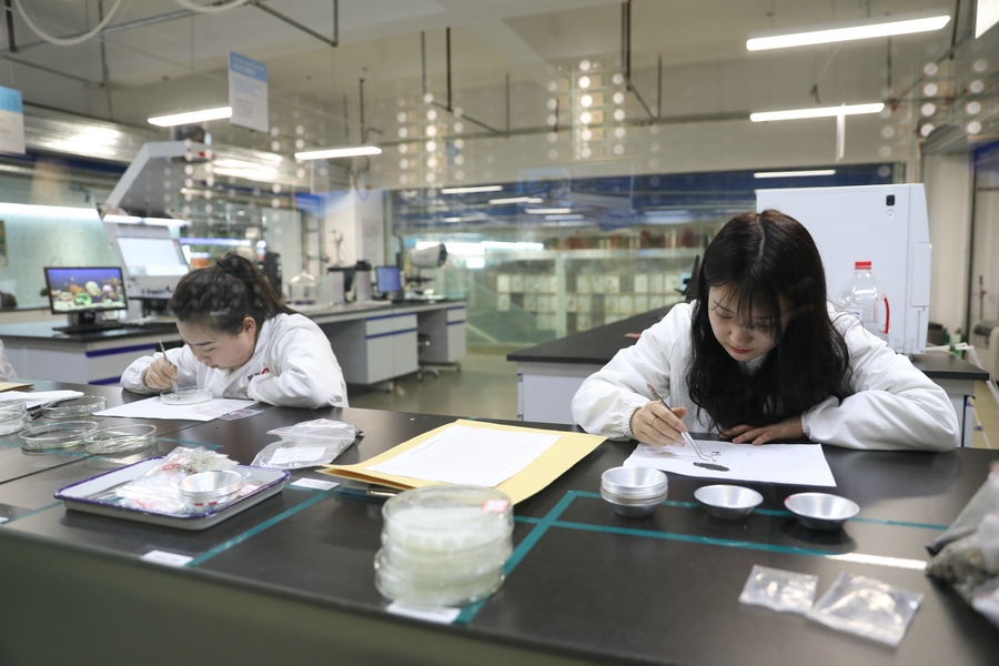 1615984596152700.jpg 7O5A4275.JPG