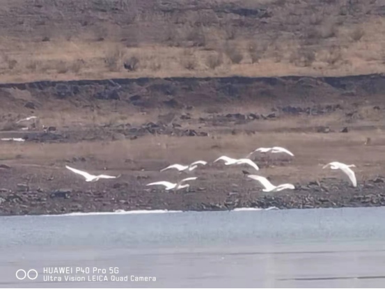 1649316668797421.png 微信圖片_20220407153045.png