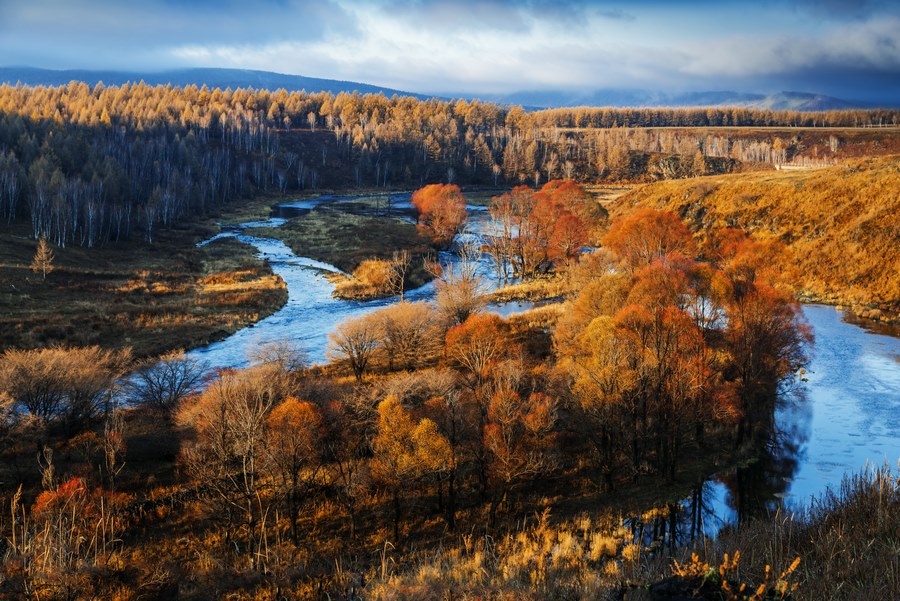 1667391048438536.jpg 06.jpg