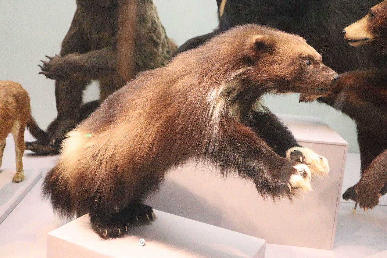 1685415679370632.png 圖片4.png