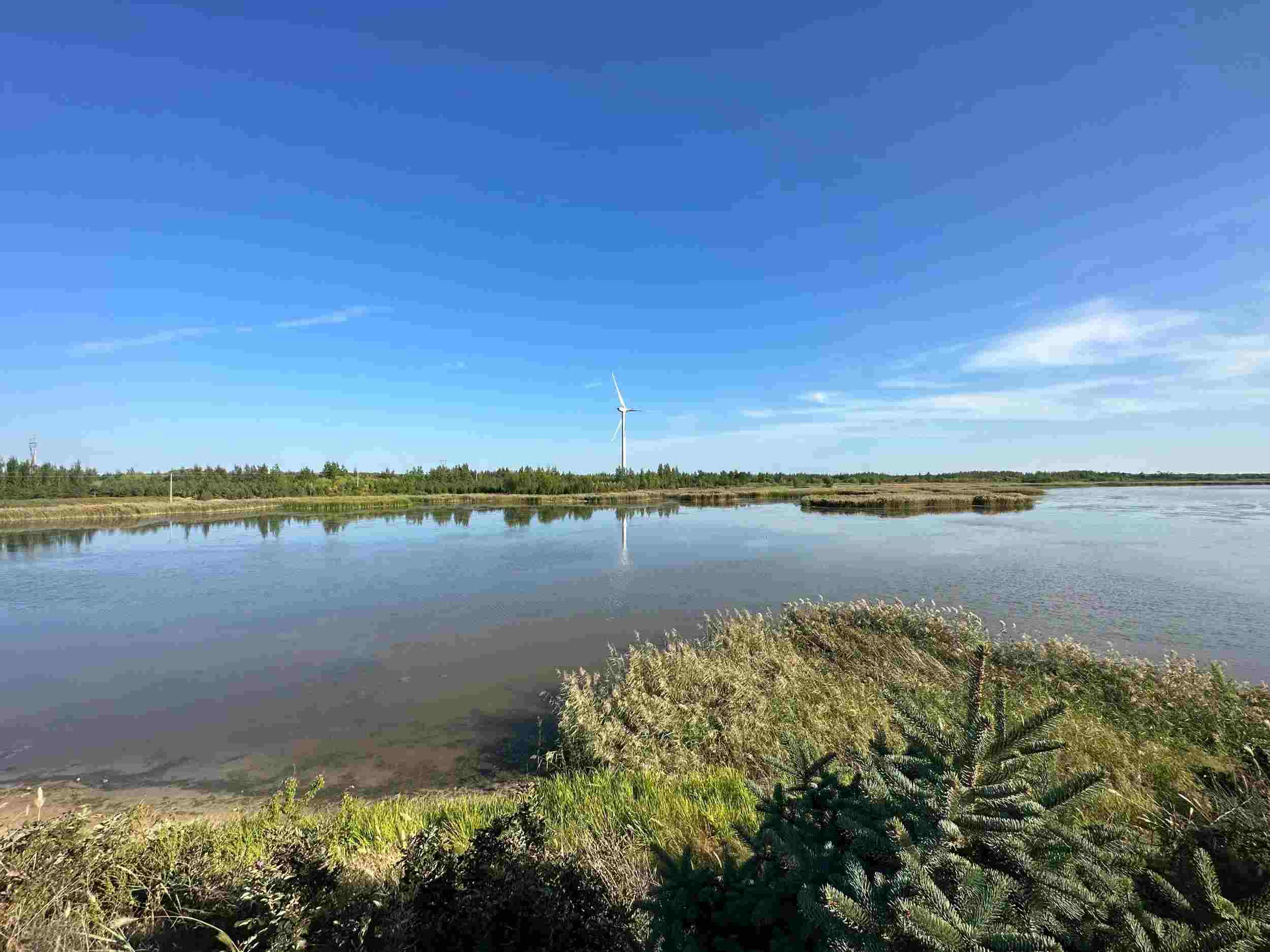 1694441430498910.jpeg 1694441430498910.jpeg