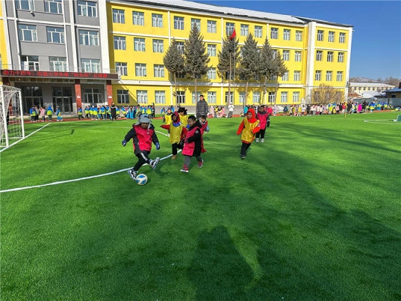 1700015516990634.jpg _O6I0394.JPG