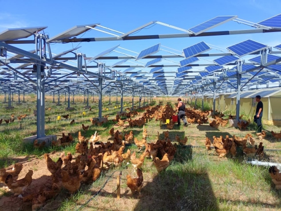 1701496571348600.png 蒙西基地200萬千瓦光伏治沙項目并網(wǎng)1202740.png