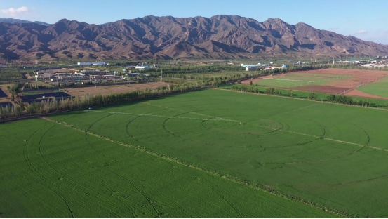 1707316212170534.png 9bbf05b6050d98980688ee7582204eb798.png