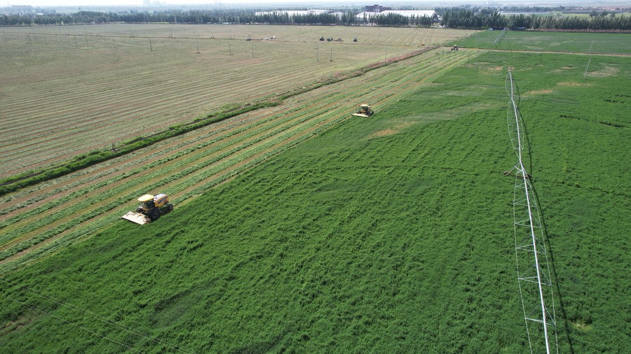 1716886087653437.jpg 0c96229ba7c836090d159a55636e285.jpg