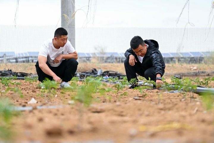 1721113410132796.jpeg 1.活動(dòng)展板(2).jpeg