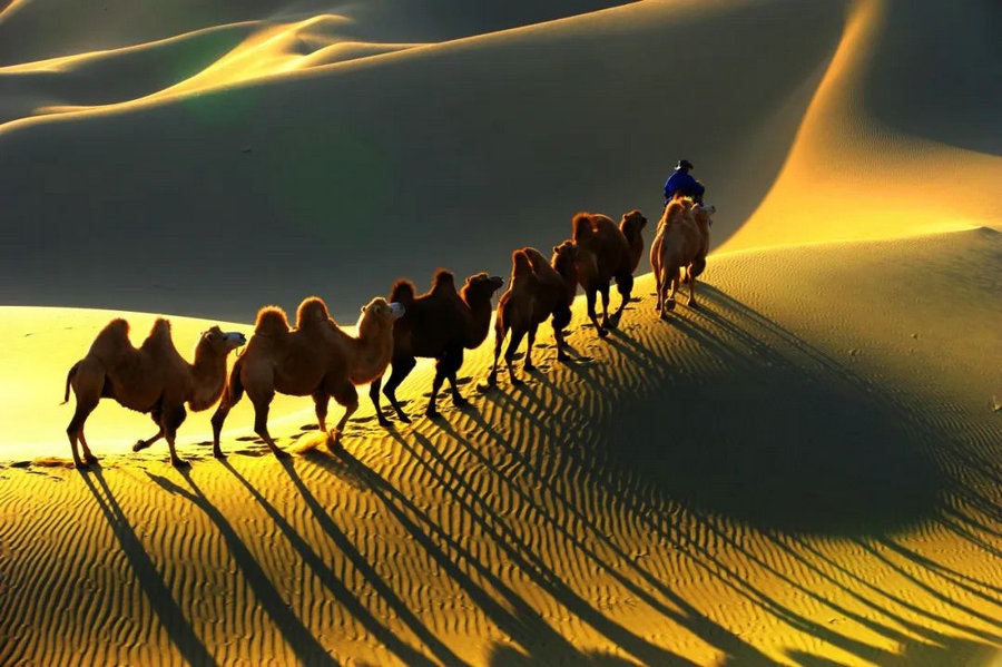 1723099258807663.jpg 640 (23).jpg