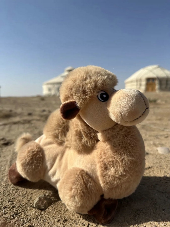 1723099335114399.jpg 640 (25).jpg