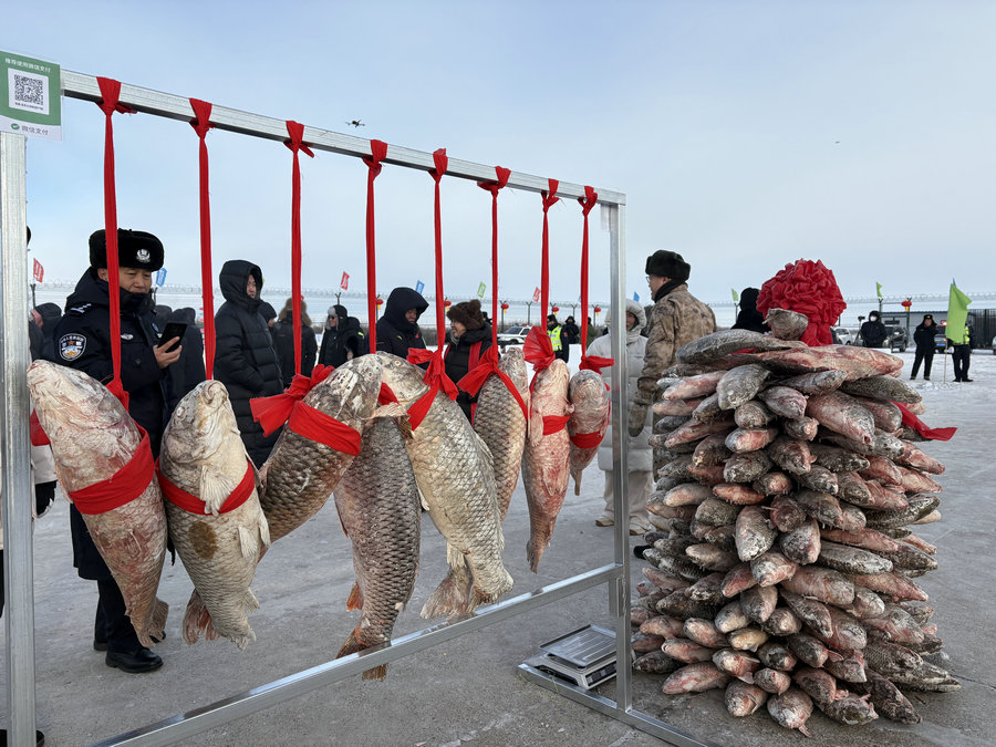 1734922168139823.jpg _DSC2271.JPG