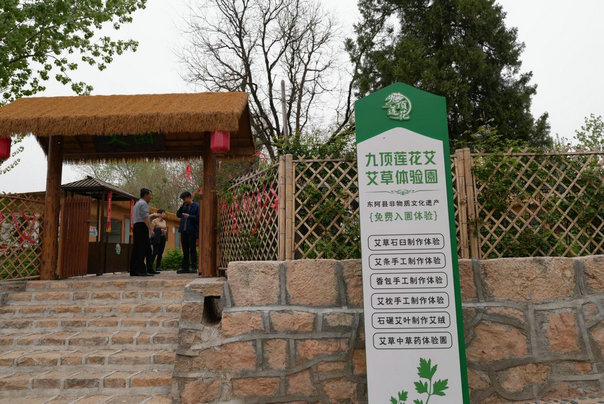 1744420712678396.jpg 東阿5.jpg