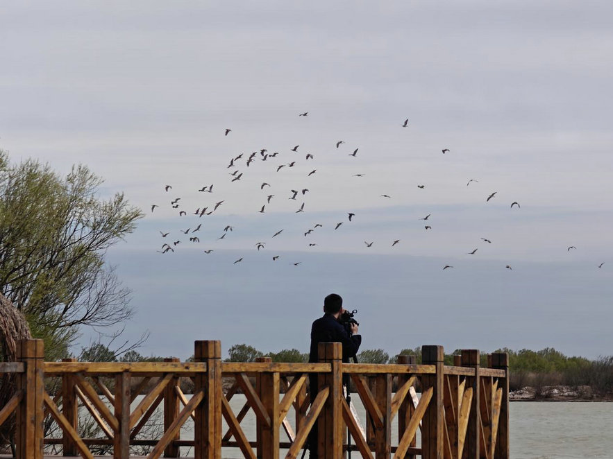 1744852514212490.jpg 東營2.jpg