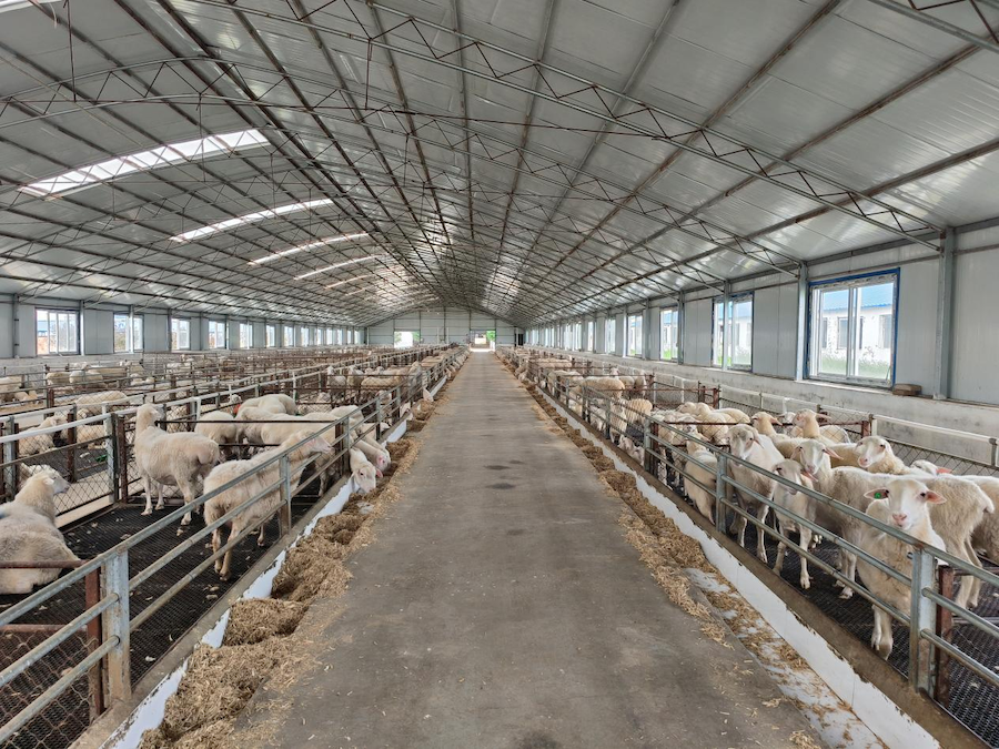 1751893637579638.png 圖片64.png