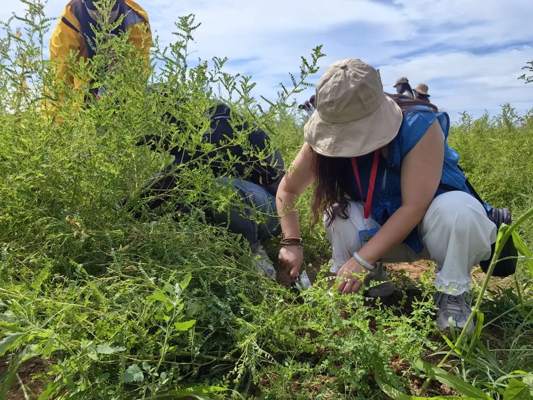 1752835138363618.jpg 04.jpg