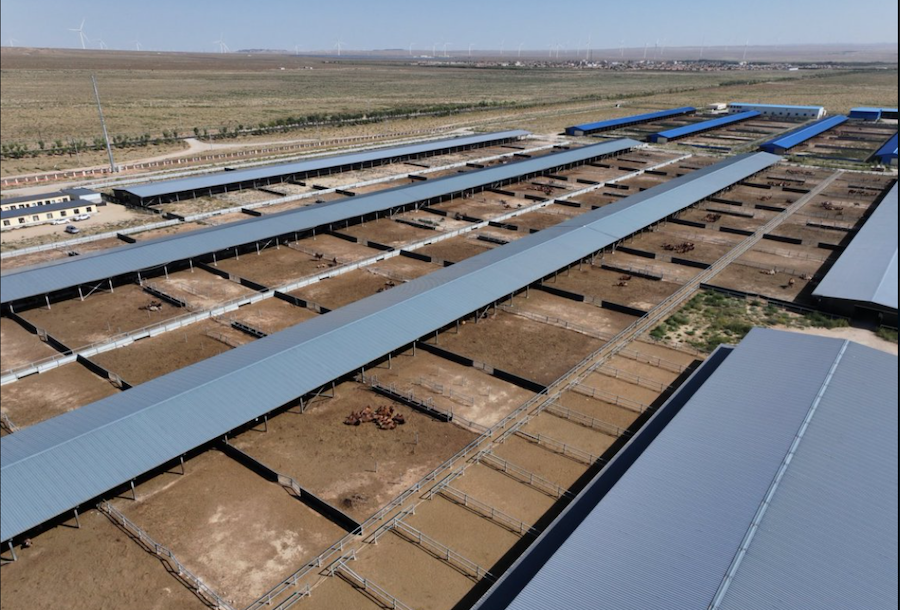 1757683087956768.png 圖片4.png