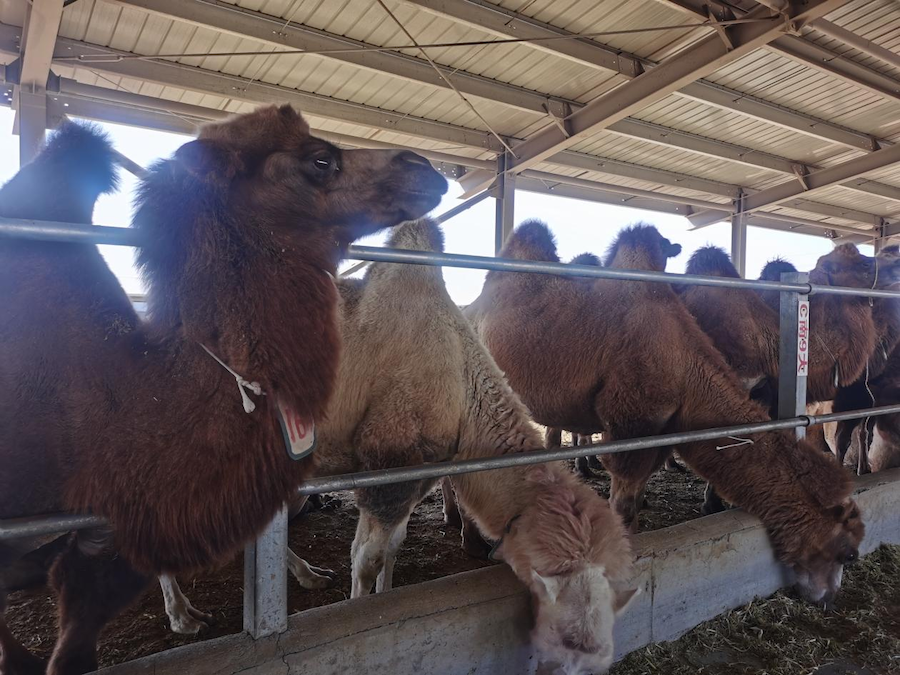 1757683166741523.png 圖片5.png