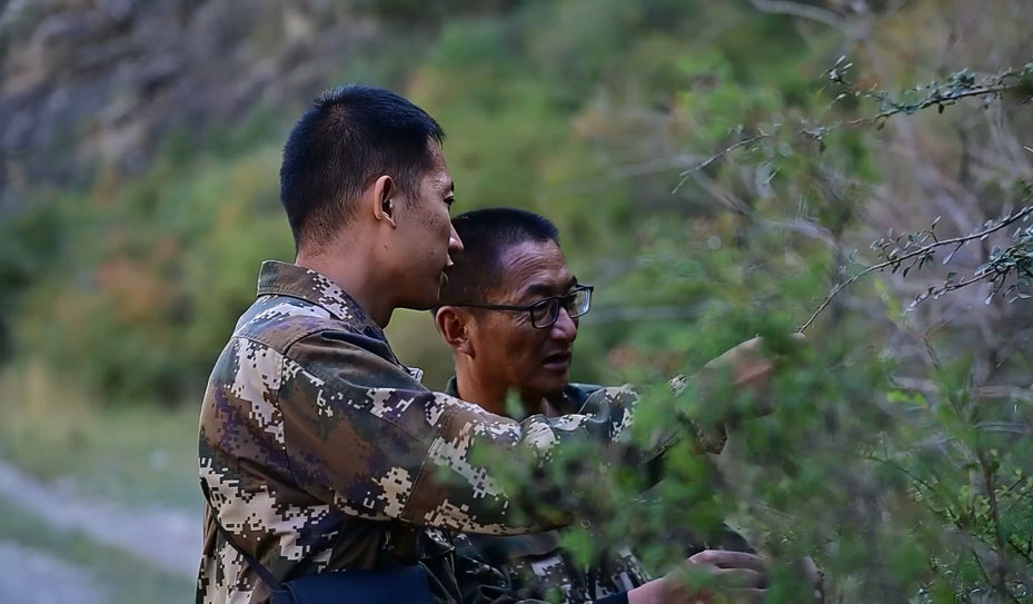 1757918315944805.jpg 護林55.jpg