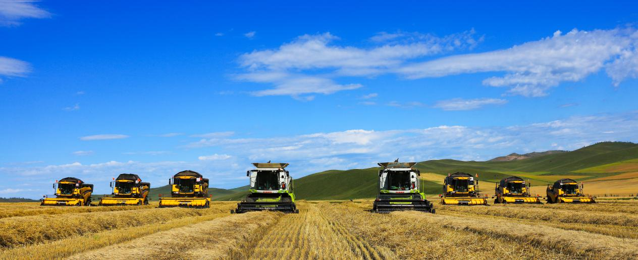 1765529230580842.png 糧食2.png