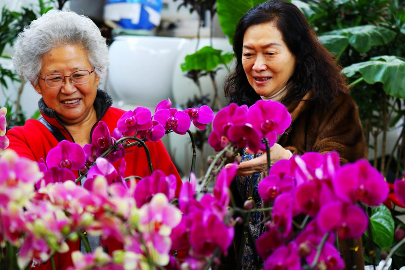 1772266772108943.png 赤峰市民在紅山區(qū)花卉市場(chǎng)選購(gòu)鮮花 李富 攝.png