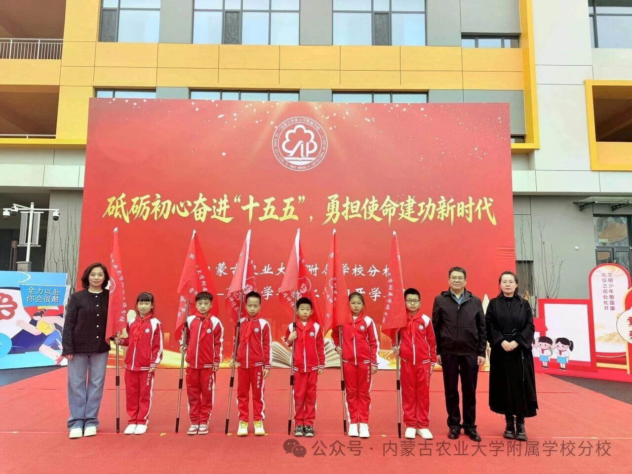 1772682239714155.jpg 1772682239714155.jpg