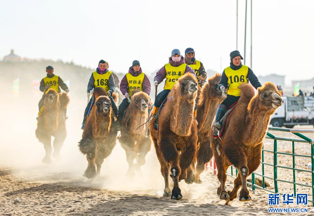 3月7日，賽駝手在6000米成年駱駝場(chǎng)地速度賽比賽中。.jpg