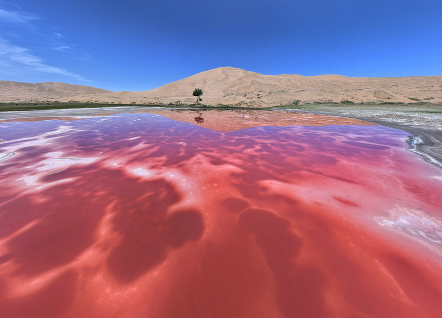 1773495467136625.jpg 張樂元 (1).jpg