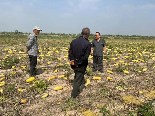 1773907409135154.png 圖片8.png