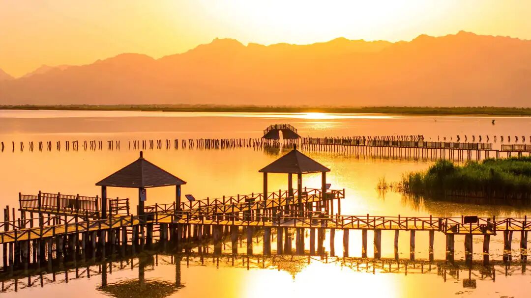 1774522483546116.jpg 640.jpg