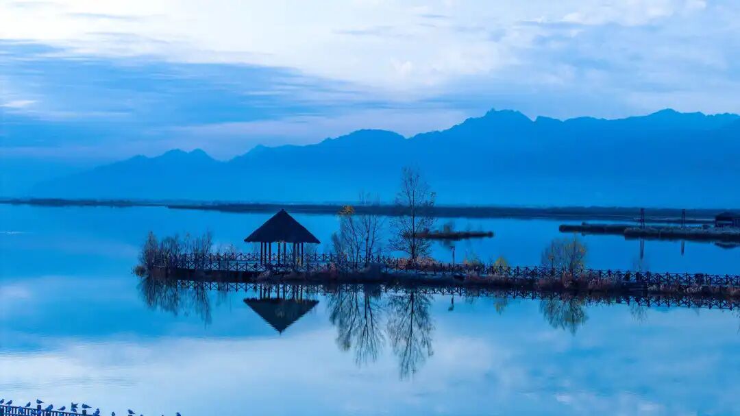 1774522534135532.jpg 640 (5).jpg