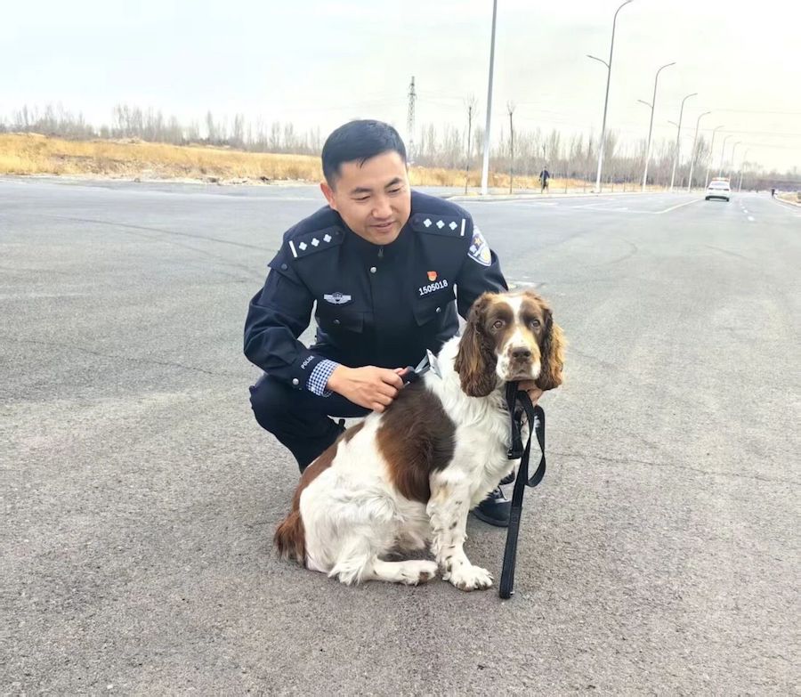 1775874161130928.jpg 0bd42dd3af76cdb9b7efbff4dbc90025.jpg