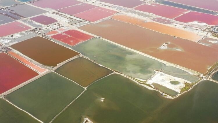 鑒往知來，跟著總書記學(xué)歷史丨走進一座博物館，尋根五千年中華文明