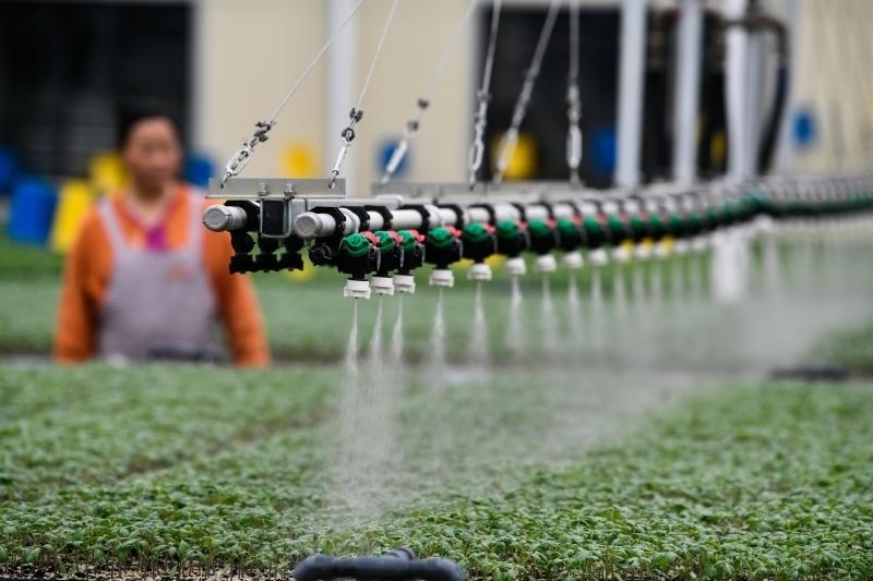 工人在貴陽(yáng)市開(kāi)陽(yáng)縣楠木渡蔬菜良種繁育中心查看自動(dòng)噴灌系統(tǒng)給辣椒苗澆水情況（2023年5月24日攝）。新華社記者 楊文斌 攝