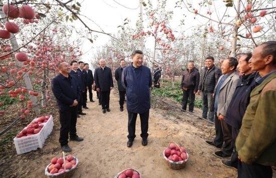 2022年10月26日，習近平總書記在陜西省延安市安塞區(qū)高橋鎮(zhèn)南溝村蘋果園同老鄉(xiāng)們親切交流。