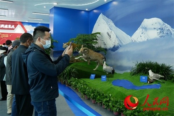 6月17日，觀眾正在觀展。人民網(wǎng) 韋衍行攝