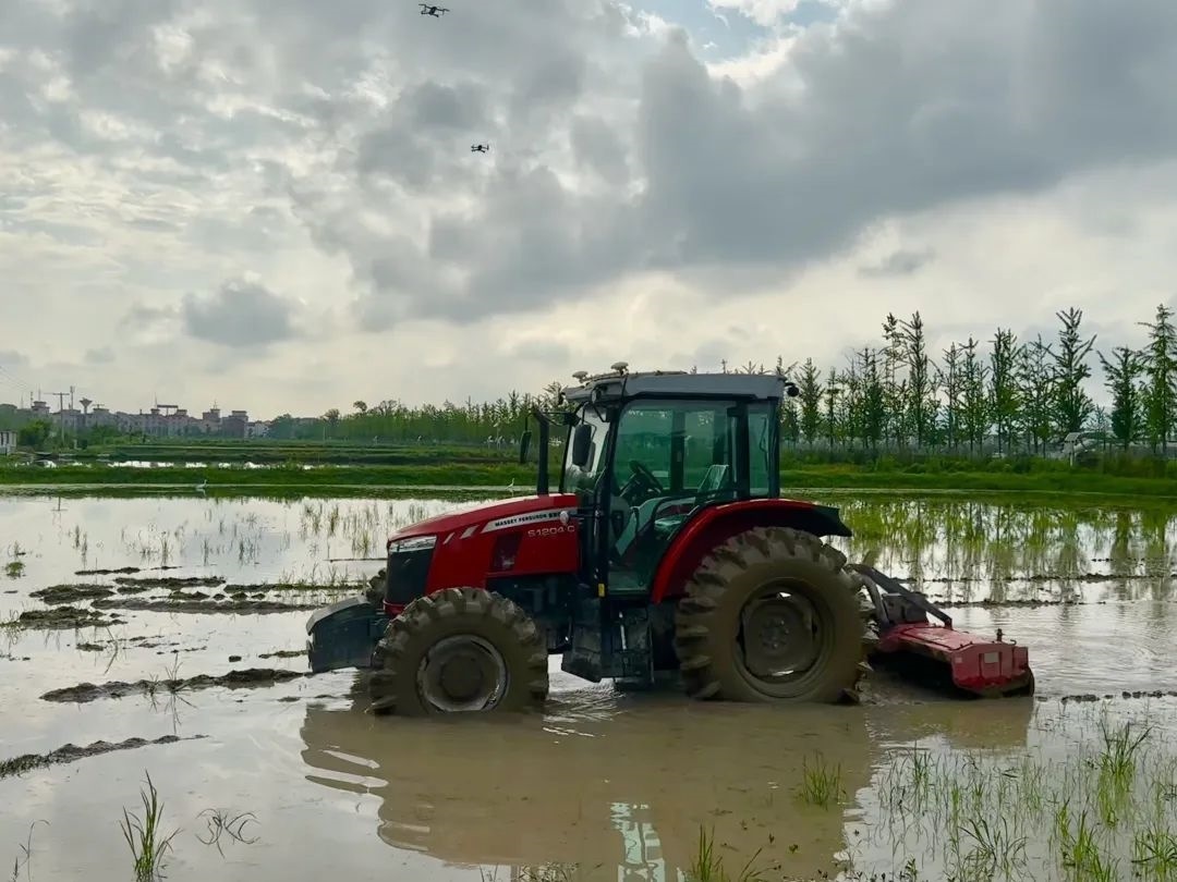 浙江省金華市東陽(yáng)市城東街道寀盧村的一臺(tái)無(wú)人駕駛耕地機(jī)。靜玄 攝
