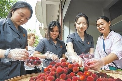 志愿者和村民一起將摘下的楊梅裝進(jìn)食品盒里。