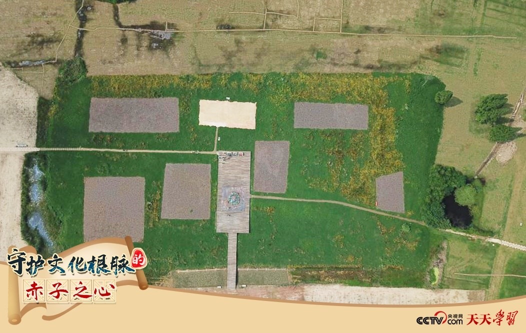 2019年6月23日無人機拍攝的良渚國家考古遺址公園的宮殿區(qū)。