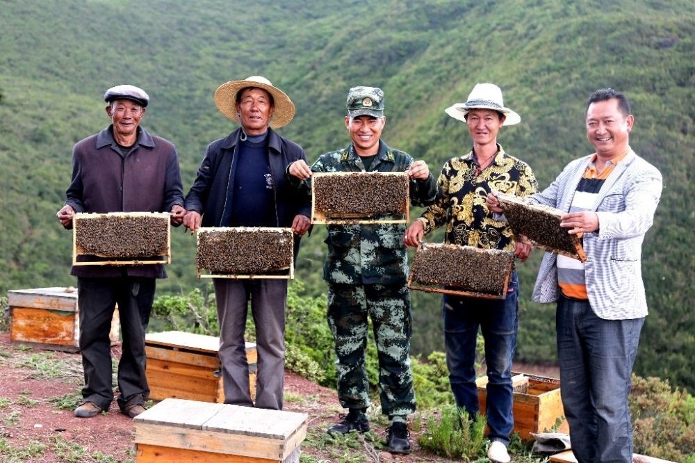 ↑武警四川總隊涼山支隊精準(zhǔn)幫扶昭覺縣梭梭拉打村發(fā)展養(yǎng)蜂產(chǎn)業(yè)，總隊駐村扶貧干部布哈（中）和村民一同展示豐收成果（2019年6月12日攝）。新華社發(fā)（楊劍 攝）