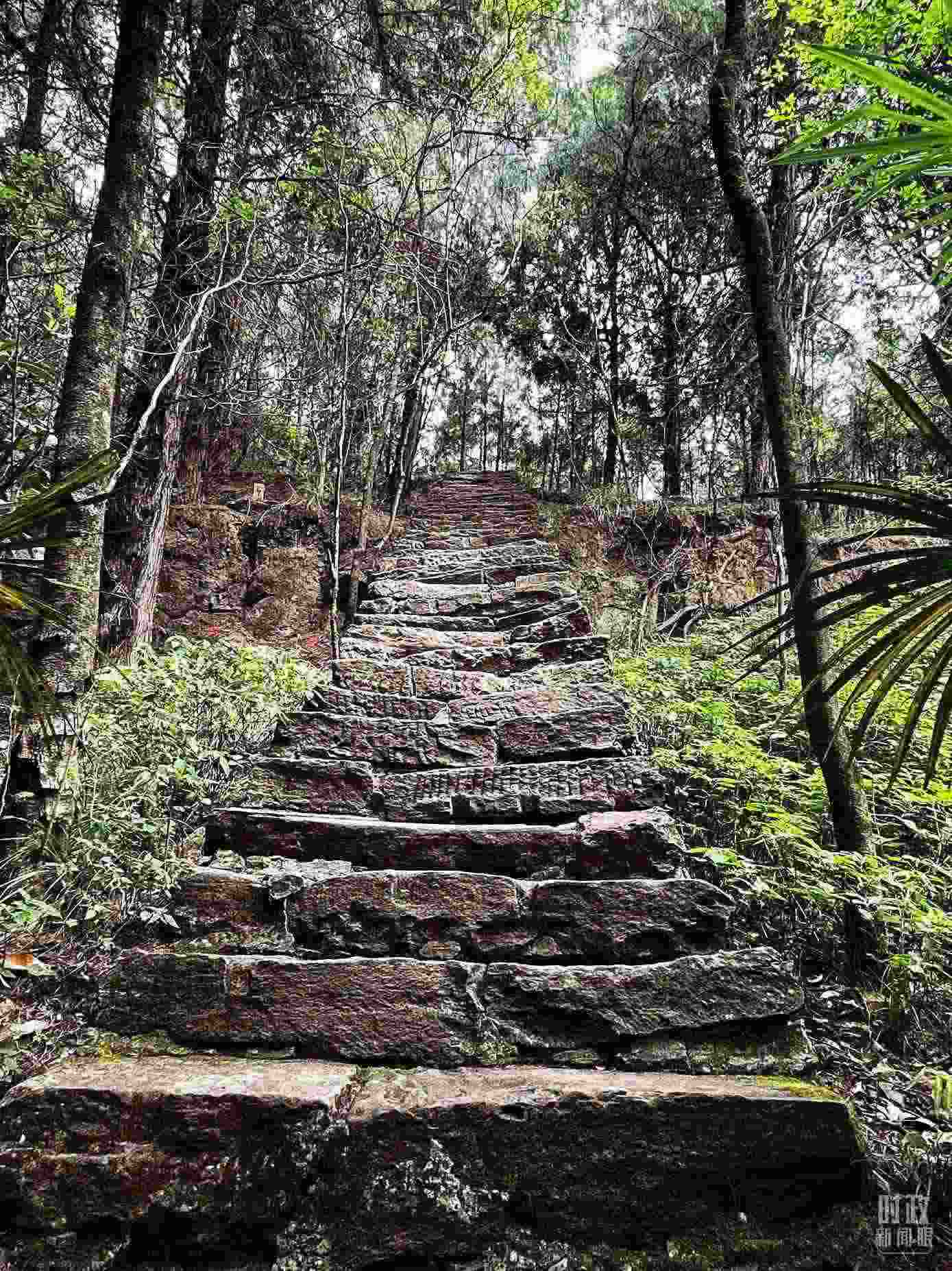 △古蜀道。（總臺(tái)央視記者郭曉龍拍攝）